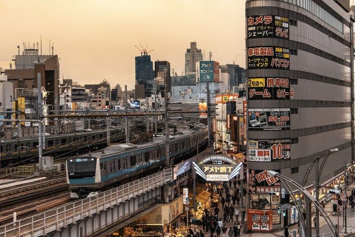 Private Tokyo Tour by Car with Custom Itinerary & English Guide — photo 15