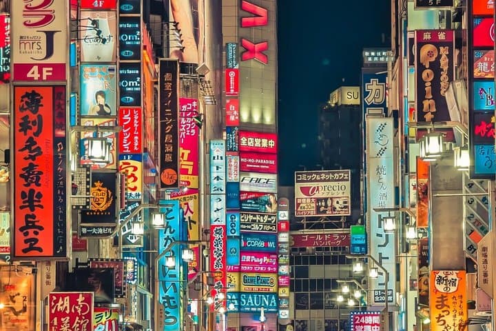 Private Tokyo Tour by Car with Custom Itinerary & English Guide — photo 16