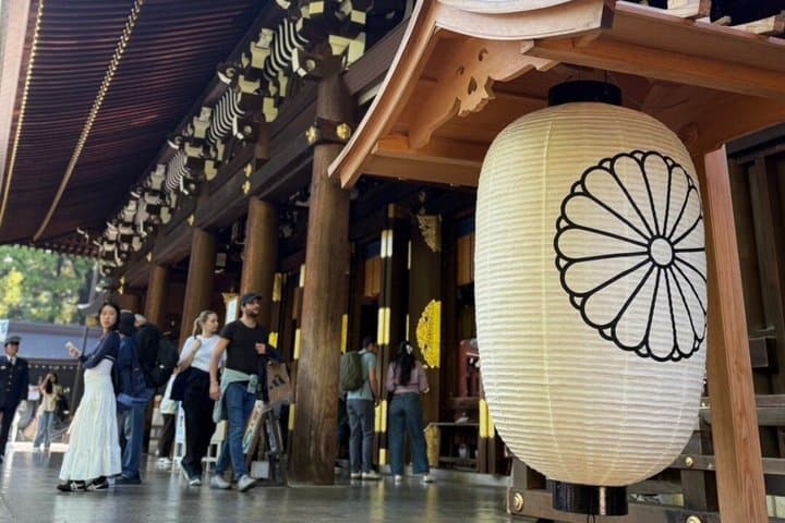 Tokyo 1 Day Private Tour from Cruise Port Walking Experience — photo 18