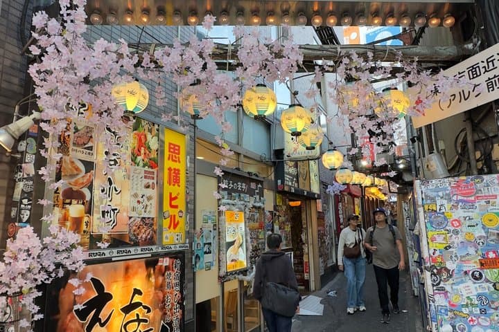 "Shinjuku : Gourmet Tour and Culture with a Certified Chef and Guide — photo 16