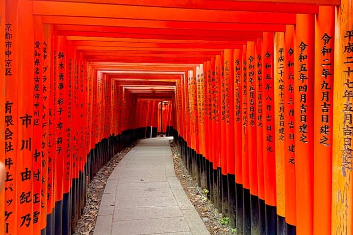 Private Kyoto Sightseeing Tour with English Guide and Car — photo 8