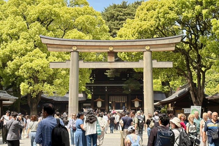 Tokyo Private Half-Day Highlights Tour by Car with Guide — photo 5