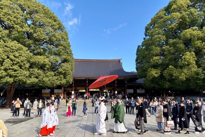 Tokyo Private Half-Day Highlights Tour by Car with Guide — photo 6