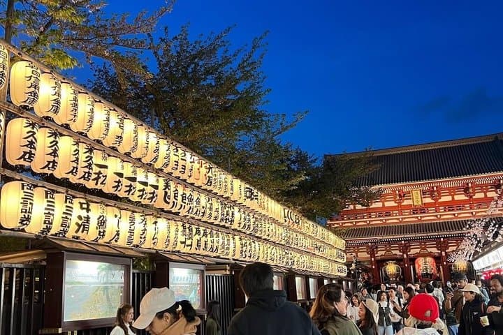 Tokyo Full-Day Private Walking Tour – Fully Personalized — photo 19