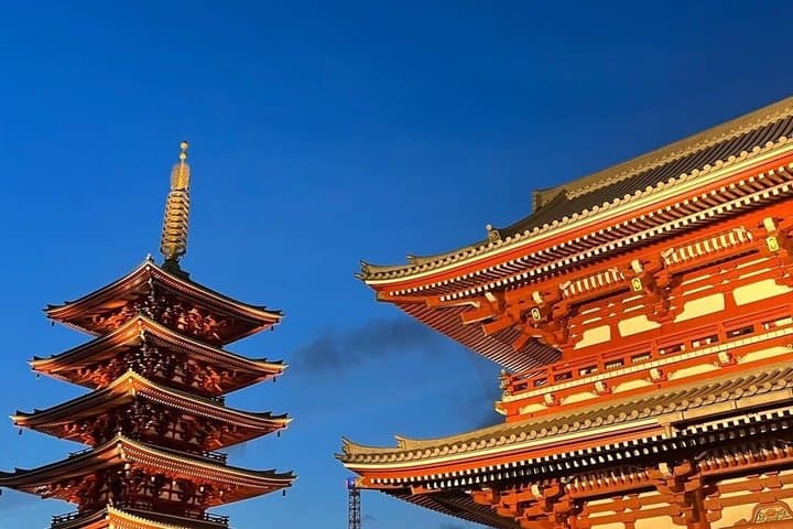 Tokyo Full-Day Private Walking Tour – Fully Personalized — photo 20