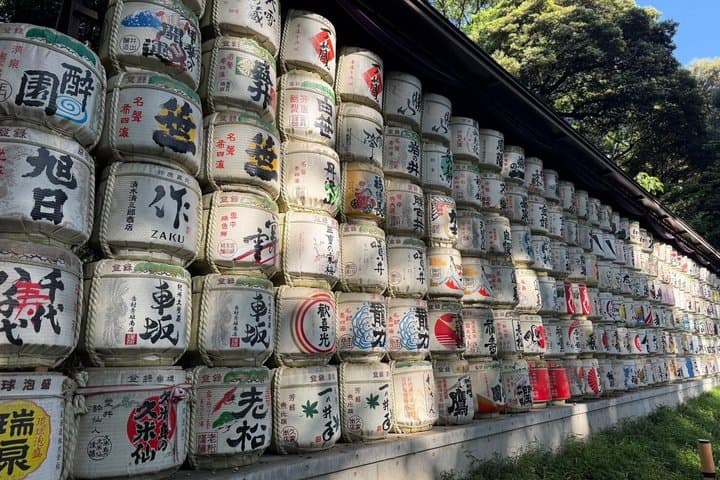 Tokyo Full-Day Private Walking Tour – Fully Personalized — photo 6