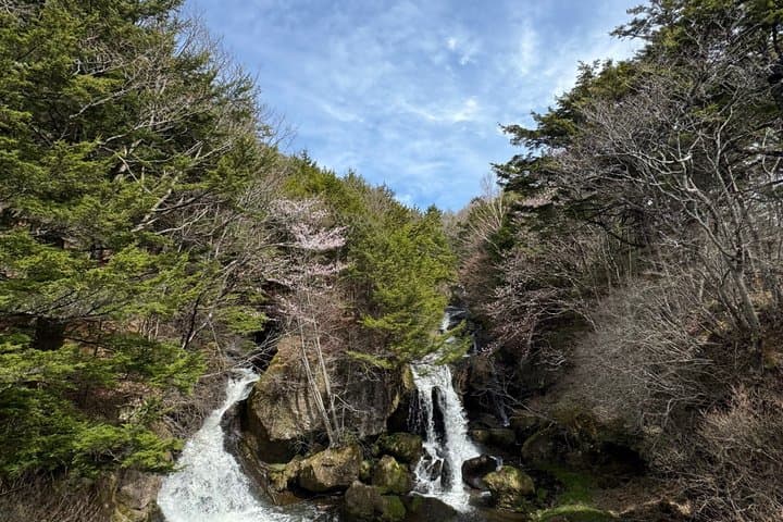 Nikko Private Tour From Tokyo – Temples, Nature & Hidden Gems — photo 18