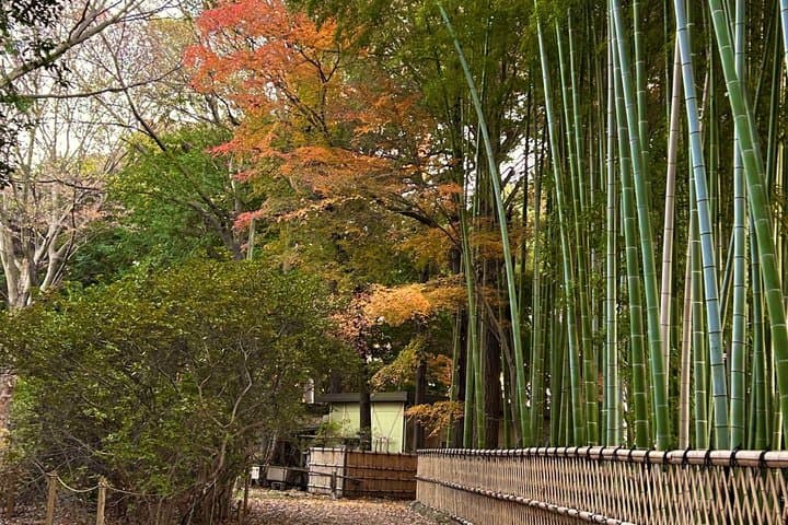 Private Tokyo Tea & Kimono: Use a National Treasure's Kettle — photo 8