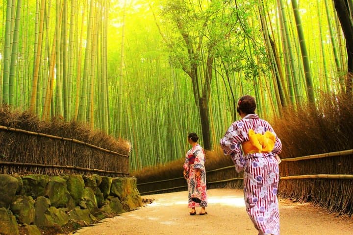 Kyoto tour: 3 Photogenic Sites from Nagoya with Lunch — photo 4