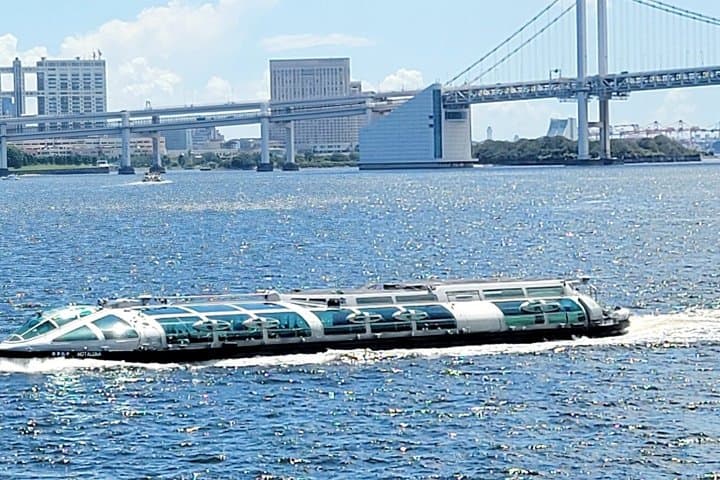 Tokyo:Meiji Shrine,Imperial Palace,Asakusa,Odaiba,cruise — photo 13