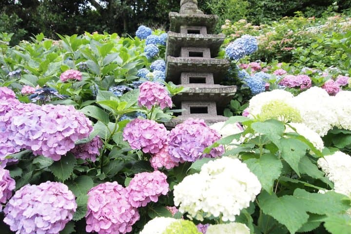 From Tokyo: Kamakura & Enoshima 1-Day Bus Tour — photo 4