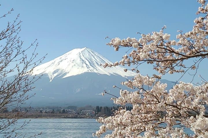 1 Day Bicycle Rental near Lake Kawaguchi — photo 5