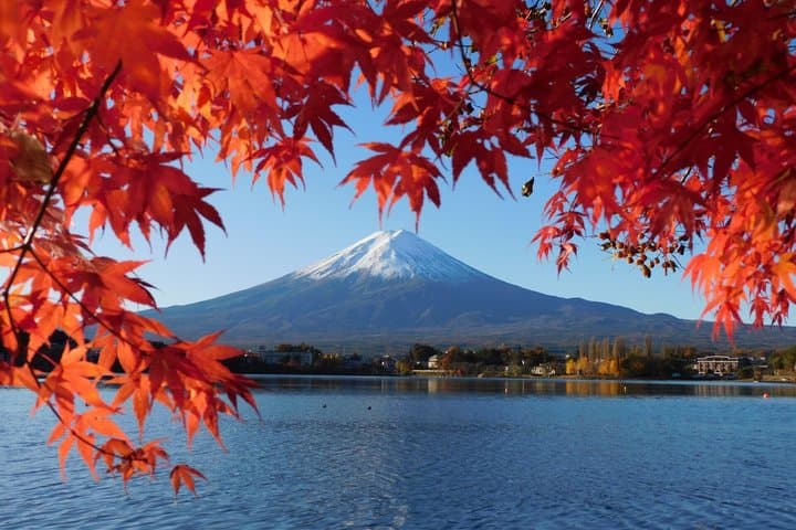 1 Day Bicycle Rental near Lake Kawaguchi — photo 4