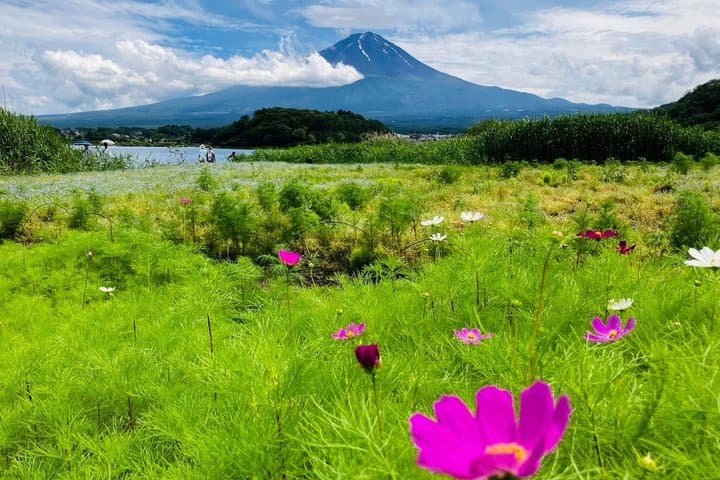 Mt Fuji and Lake Kawaguchi 1-Day Luxury Bus Tour From Tokyo — photo 9