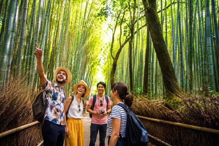 Ultimate Kyoto Arashiyama Tour: Bamboo, Monkeys & Hidden Gardens — photo 4