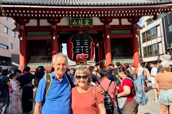Tokyo Private Half-Day Highlights Tour by Car with Guide — photo 3
