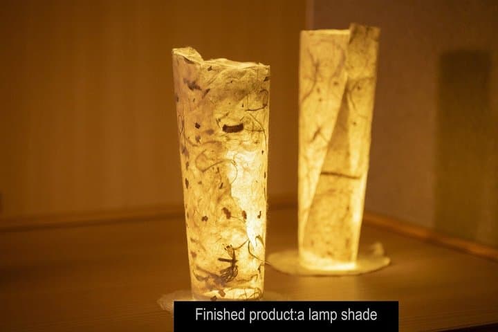 Make traditional Tosa washi paper using a recycling technique — photo 8