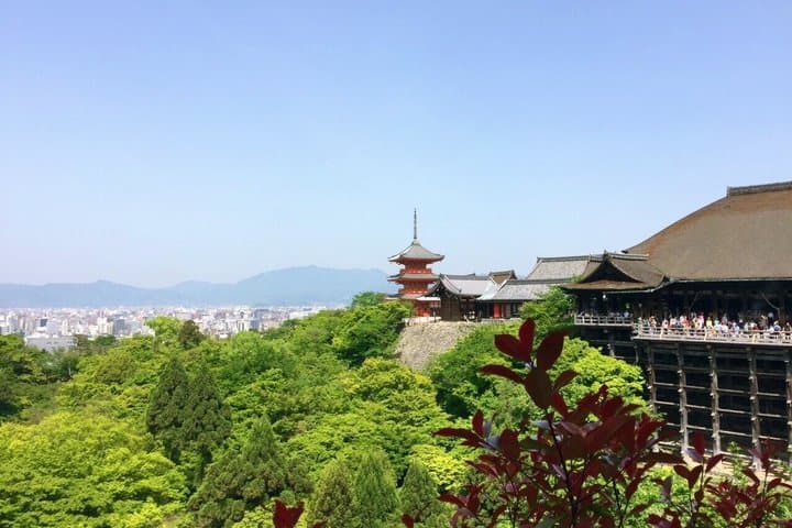 Kyoto tour: 3 Photogenic Sites from Nagoya with Lunch — photo 10
