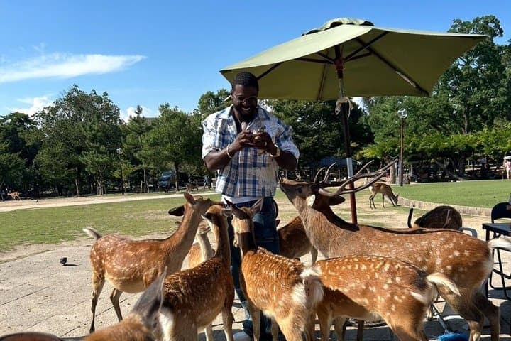 Osaka and Nara Private Car Tour with a Local English Guide Driver — photo 2