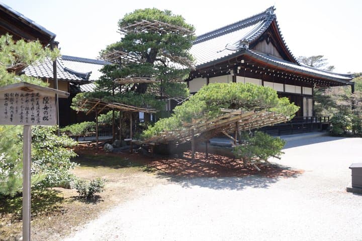 Kyoto E-Bike Tour of Palace, Castle, Temples and Hidden Gems — photo 9