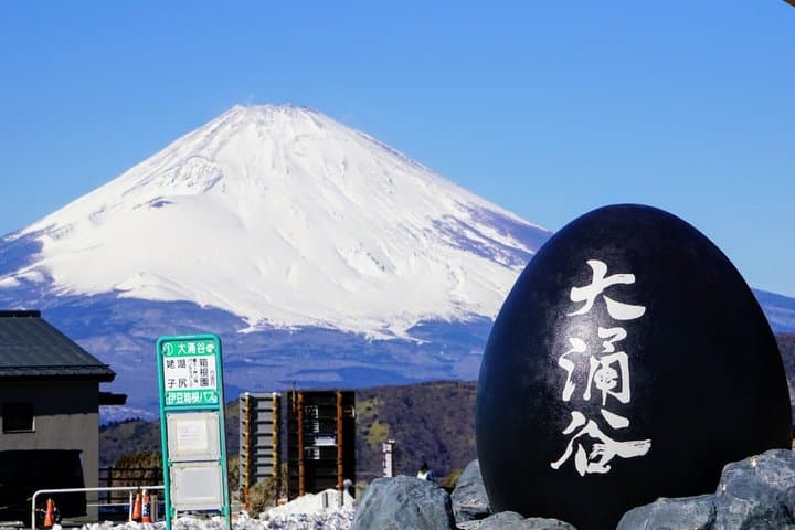 Tokyo: Hakone Shrine, Owakudani & Gotemba Premium Outlet Day Tour — photo 1