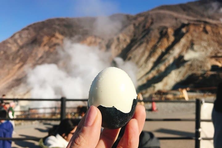 Tokyo: Hakone Shrine, Owakudani & Gotemba Premium Outlet Day Tour — photo 8