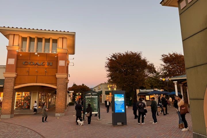 Tokyo: Hakone Shrine, Owakudani & Gotemba Premium Outlet Day Tour — photo 13