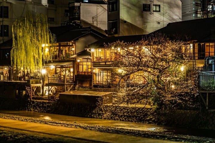 Osaka: Kyoto Scenic Day & Night Bus Tour with dinner (Kobe Beef) — photo 7