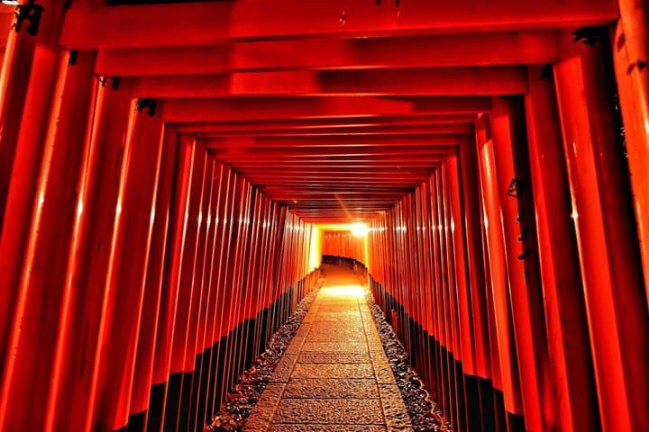 Osaka: Kyoto Scenic Day & Night Bus Tour with dinner (Kobe Beef) — photo 6