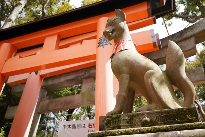 Osaka: Kyoto Scenic Day & Night Bus Tour with dinner (Kobe Beef) — photo 4