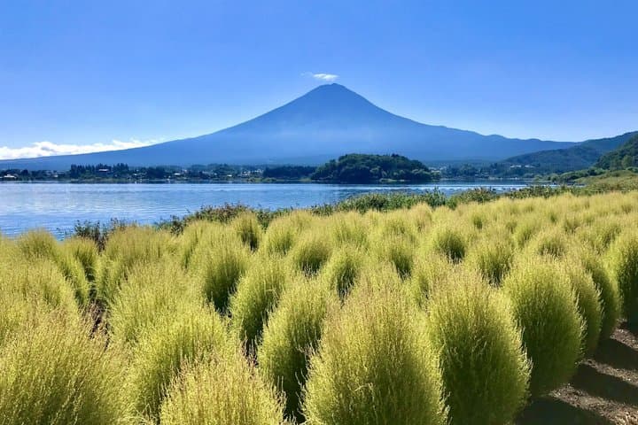 Tokyo: Mt.Fuji & Lake Kawaguchiko 1-Day Bus Tour w/Optional Lunch — photo 8