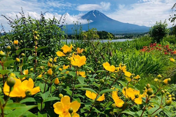 Tokyo: Mt.Fuji & Lake Kawaguchiko 1-Day Bus Tour w/Optional Lunch — photo 6