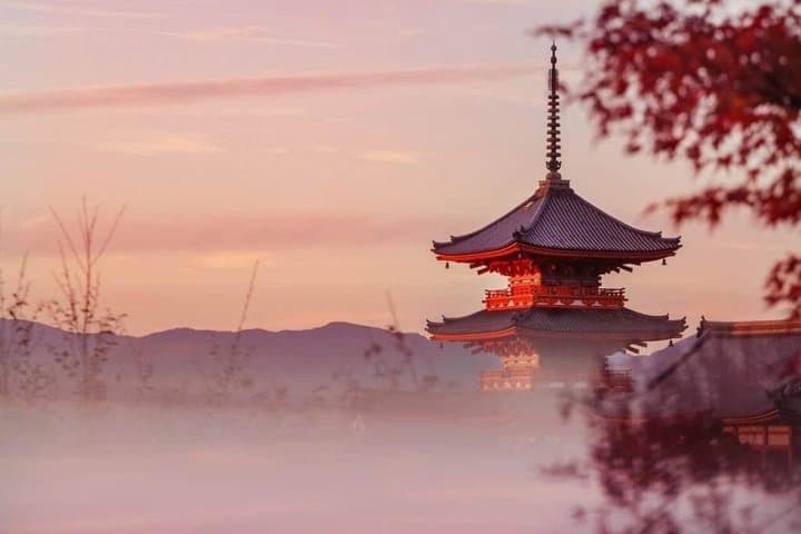 Kyoto & Nara customizeable Luxury Private Day Tour Driver Guide — photo 15