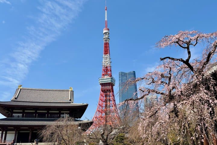 Tokyo Private 6-Hour Car Tour with English-Speaking Guide — photo 2