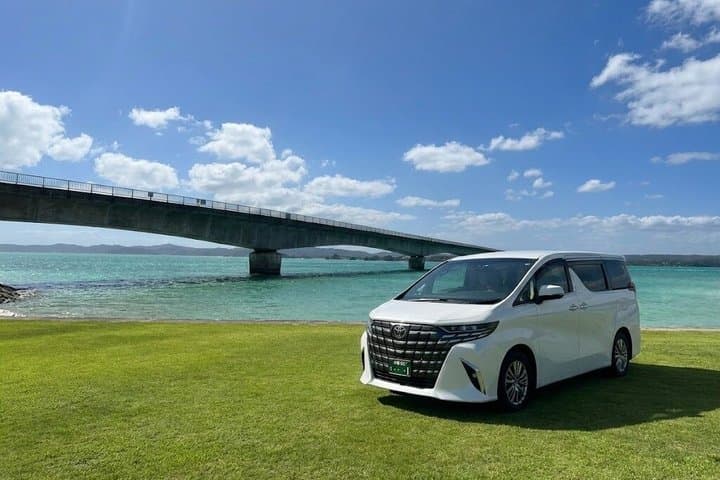 Okinawa Private Driver Tour — Flexible Itinerary, 1–5 Guests (6h) — photo 9