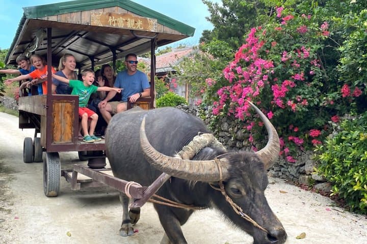 Okinawa Private Driver Tour — Flexible Itinerary, 1–8 Guests (8h)
