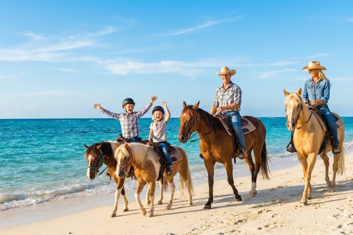Okinawa Private Driver Tour — Flexible Itinerary, 1–8 Guests (8h) — photo 3