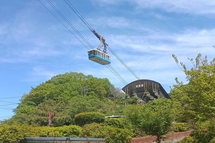 Beppu Nature and Hot Spring Nordic Walking Tour with Local Lunch — photo 3