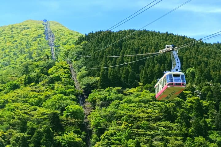 Beppu Nature and Hot Spring Nordic Walking Tour with Local Lunch — photo 5