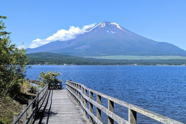 From Tokyo: Mt Fuji Lawson & Mt. Fuji Iconic Lakes 1-Day Bus Tour — photo 9