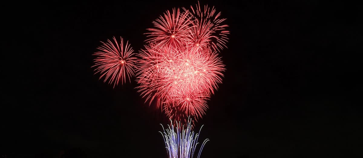 Dream Fireworks at the 54th Akishima Whale Festival