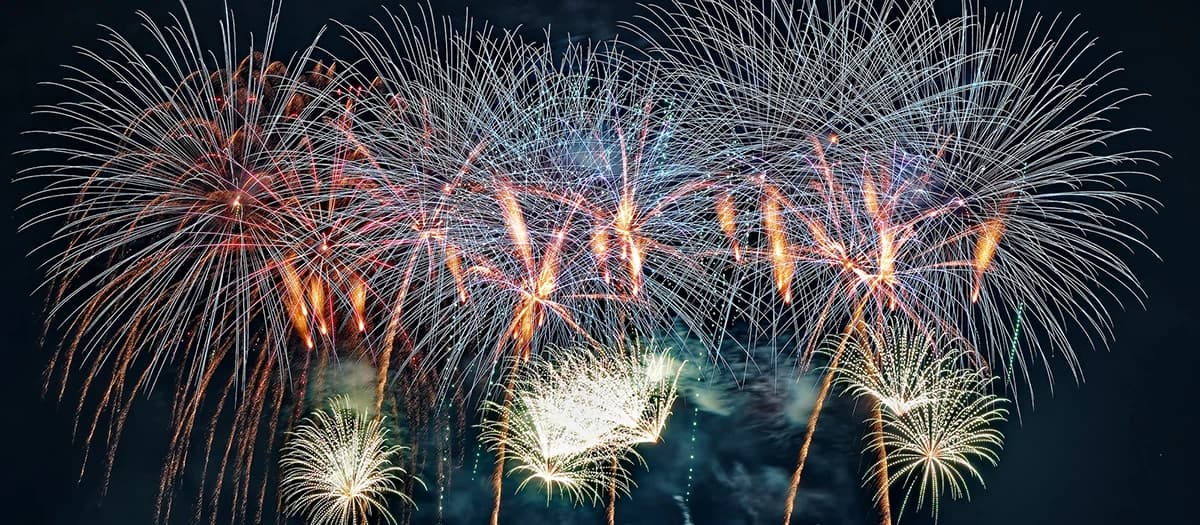 41st Chofu City Fireworks Festival