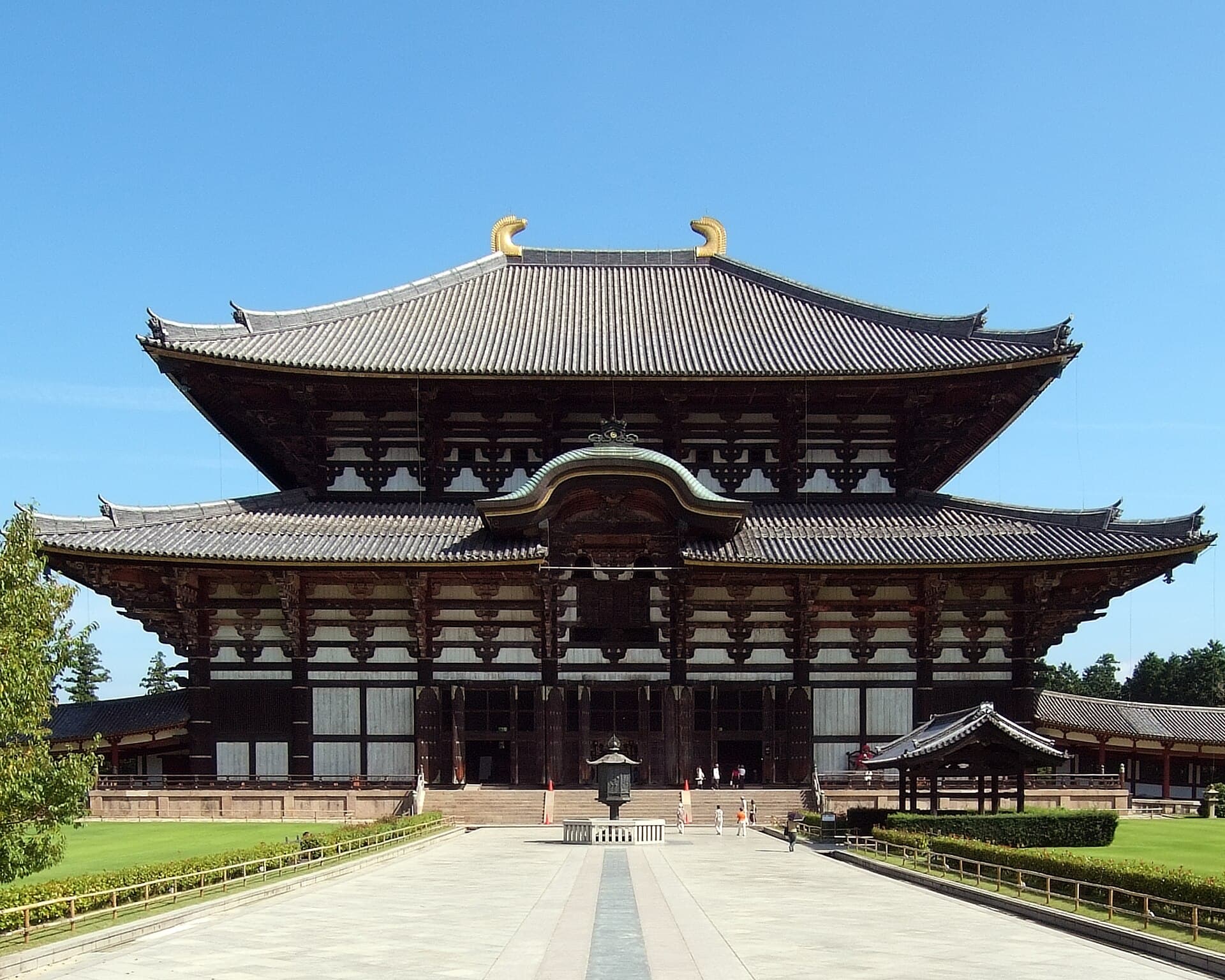 Nara deer park