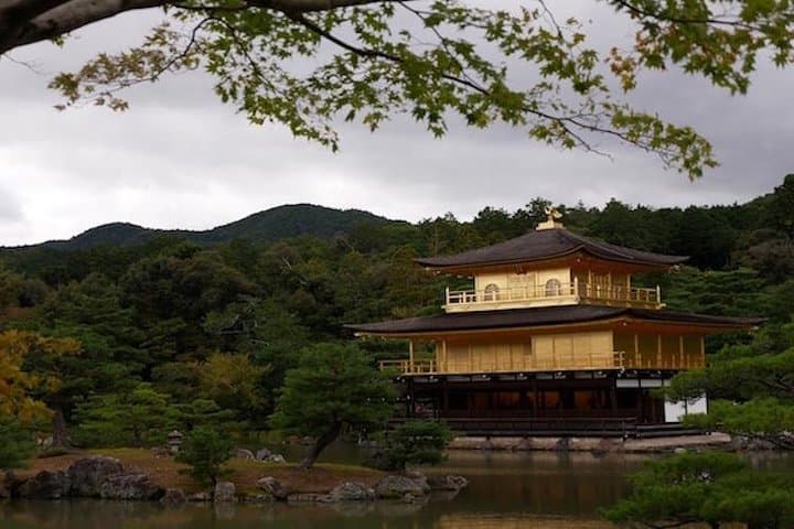 Discover your Kyoto -Private Kyoto Customized Walking Tour-