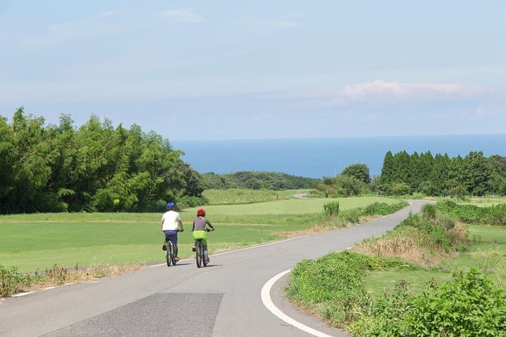 Downhill Biking