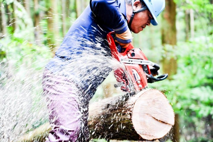 Rural Forestry Tour in Aso Minamioguni