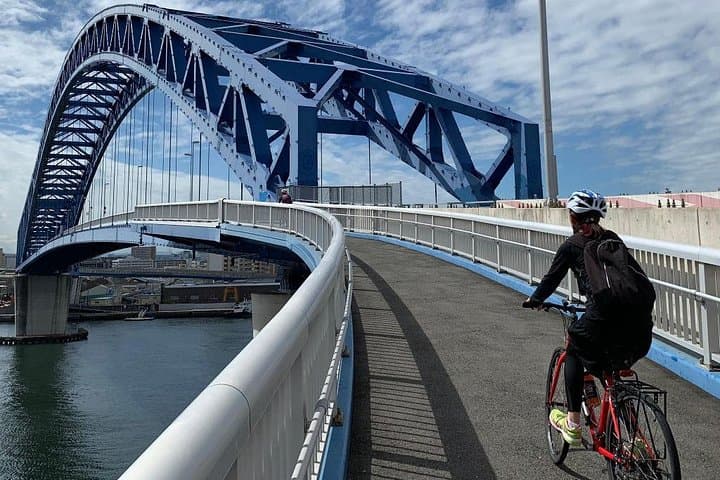 Osaka Harbor and Guided Sightseeing Ride