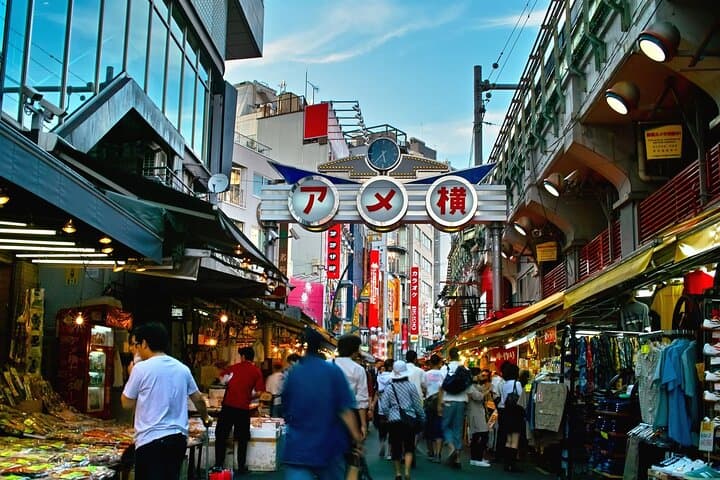 Tokyo Shopping Street Hopping Private Tour with Government Licensed Guide