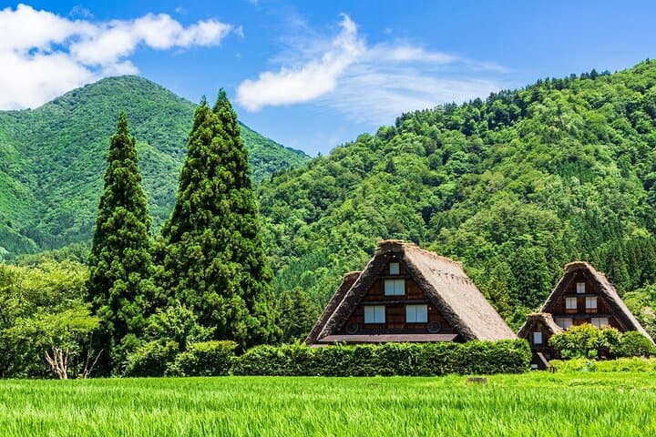 1Day Private Shirakawago and Takayama with Public bus from Nagoya