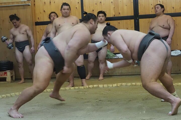 Osaka Sumo Training Tour with English Guide and Hotel Pickup